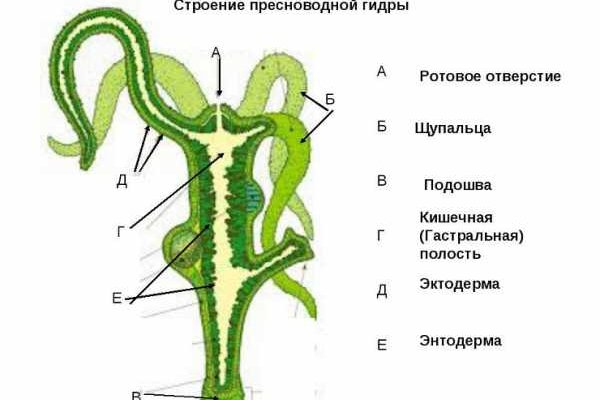 Как зайти на кракен дарк