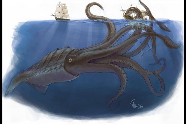 Kraken зеркало krakens13 at